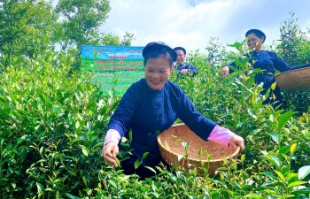"Tam nông" khơi thông nguồn lực thúc đẩy nông thôn phát triển bền vững