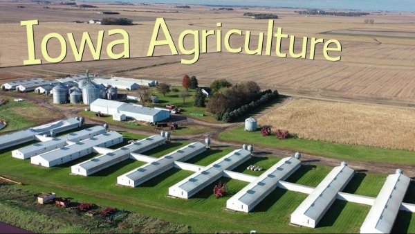 Biến động chính trị tại Iowa gây lo ngại cho nông dân Hoa Kỳ
