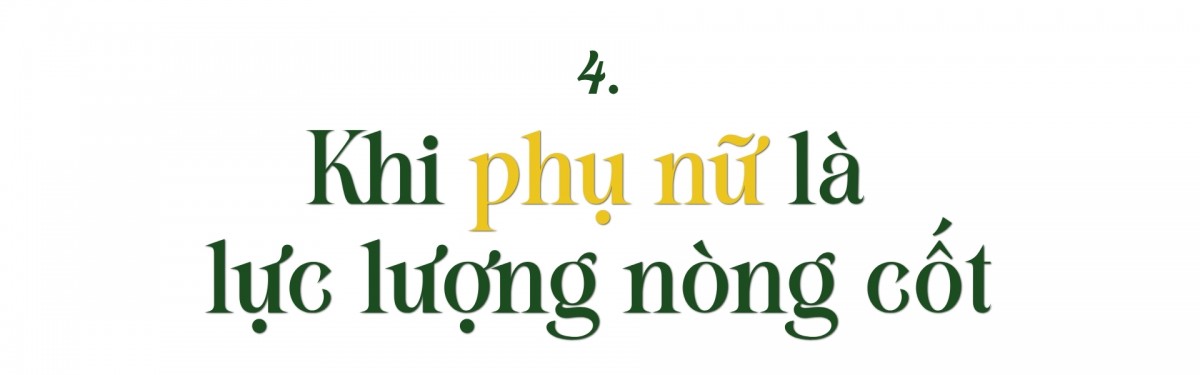 Hoa trên triền núi Hoa trên triền núi