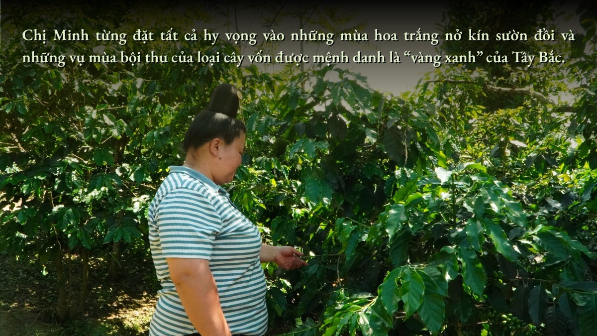 Hoa trên triền núi Hoa trên triền núi