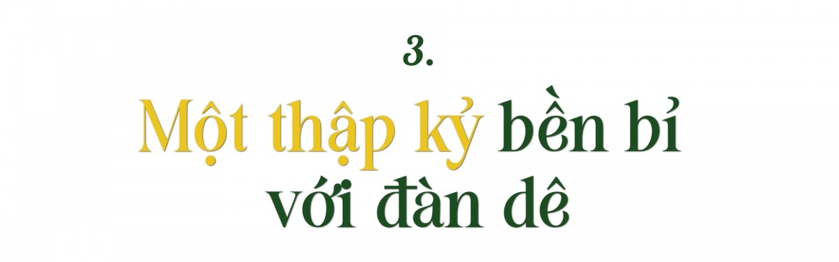 Hoa trên triền núi Hoa trên triền núi