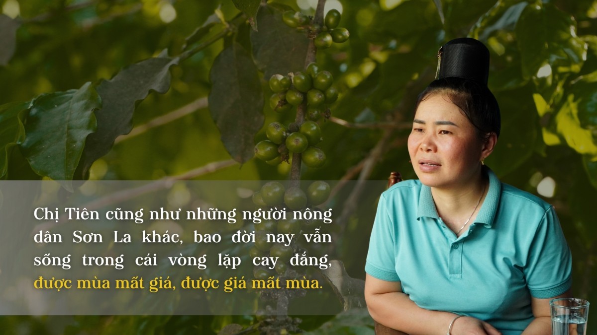Hoa trên triền núi Hoa trên triền núi