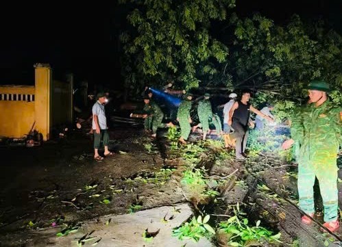 Mưa dông kèm lốc xoáy gây thiệt hại tại Lâm Đồng: Cảnh báo nguy cơ thời tiết cực đoan gia tăng