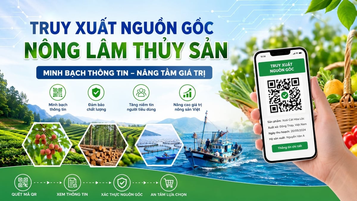 Hệ thống TXNG đã tích hợp trên hạ tầng của Bộ với mức hoàn thiện khoảng 90%, còn lại chủ yếu là kiểm thử, hiệu chỉnh. Ảnh: Canva.