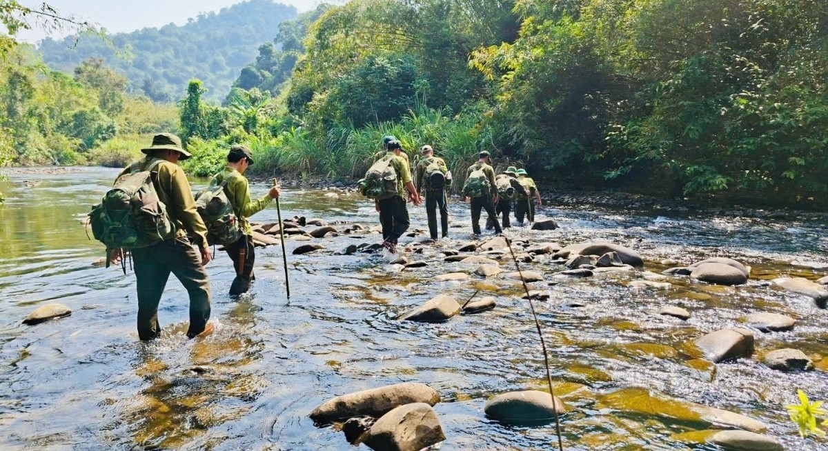 Thanh tra việc quản lý đất đai, bảo vệ rừng và sử dụng vốn nhà nước của Công ty Lâm nghiệp Đắk Wil