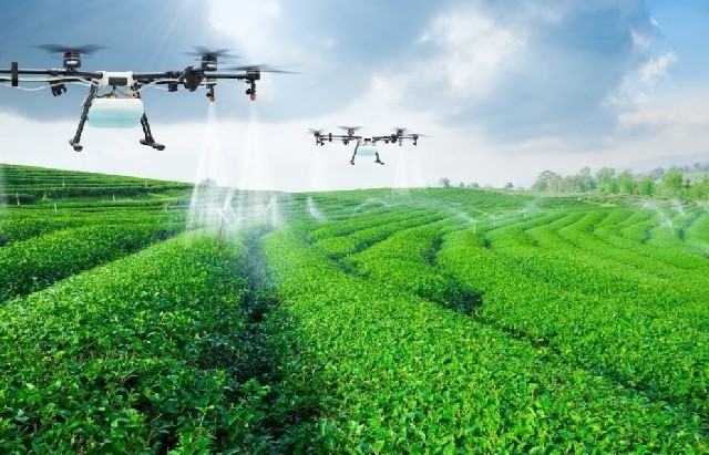 Một số vấn đề về phát triển nông nghiệp xanh ở Việt Nam