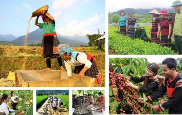 Xã Thuận Hạnh hỗ trợ phát triển sản xuất, nâng cao thu nhập cho đồng bào dân tộc thiểu số