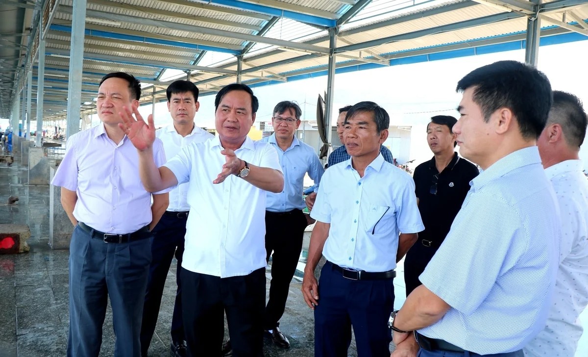 Thứ trưởng Võ Văn Hưng khảo sát hạ tầng nghề cá trọng điểm tại Khánh Hòa
