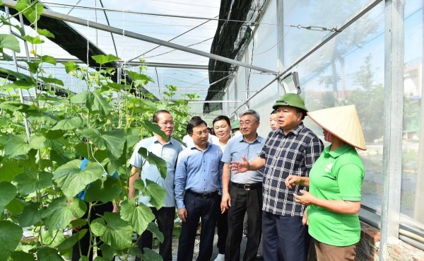 Tuyên Quang phát triển nông nghiệp xanh, nâng cao chuỗi giá trị sản xuất