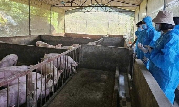 Tăng cường quản lý nhà nước, phòng ngừa và xử lý vi phạm trong hoạt động chăn nuôi