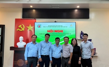Phân bón Miền Nam và Phân bón & Hóa chất Cần Thơ tăng cường hợp tác tiêu thụ sản phẩm nội bộ