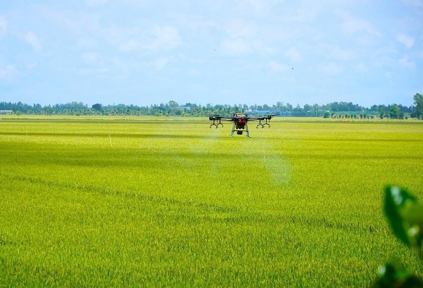 FAO thúc đẩy nông nghiệp thông minh, ra mắt ứng dụng miễn phí hỗ trợ lựa chọn cây trồng