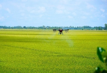 FAO thúc đẩy nông nghiệp thông minh, ra mắt ứng dụng miễn phí hỗ trợ lựa chọn cây trồng