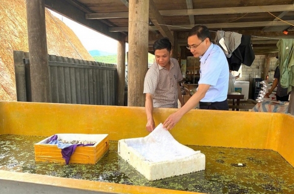 Hà Tĩnh: Hội Nông dân tỉnh kiểm tra mô hình nông nghiệp hữu cơ tuần hoàn tại cơ sở