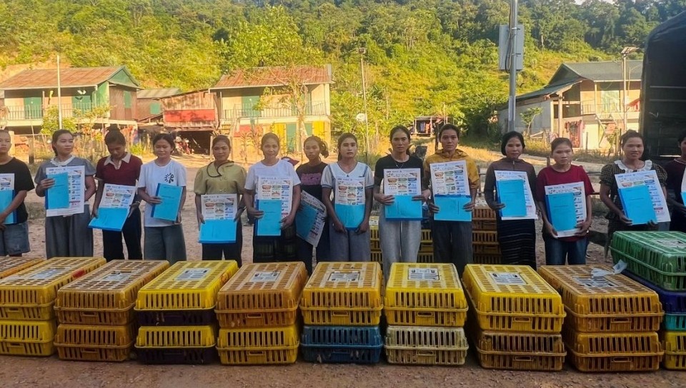 Quảng Trị: Triển khai mô hình chăn nuôi Gà Ri lai tại hai xã Trường Sơn và Dân Hóa