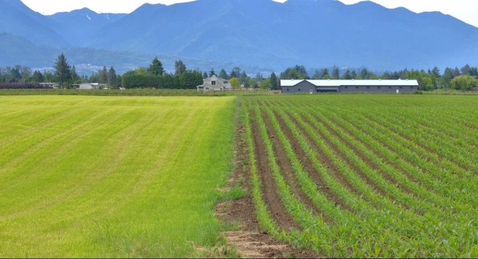 “Land sparing” hay “land sharing” sẽ mở ra hướng đi bền vững cho nông nghiệp?