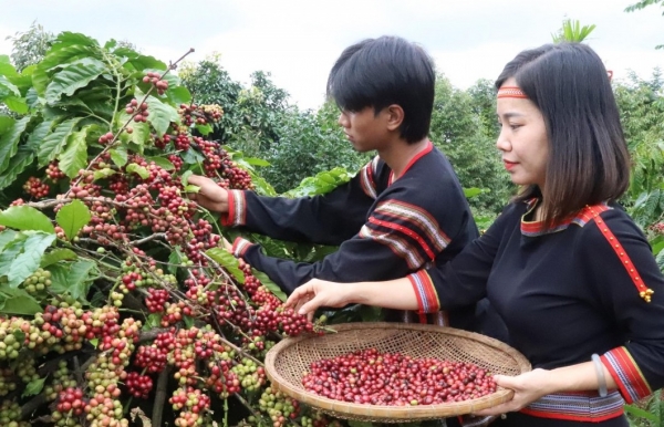 Vai trò của nông nghiệp đối với xã hội Việt Nam