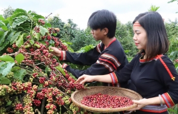 Vai trò của nông nghiệp đối với xã hội Việt Nam