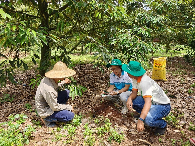PVFCCo - Phú Mỹ bứt phá tăng trưởng toàn diện