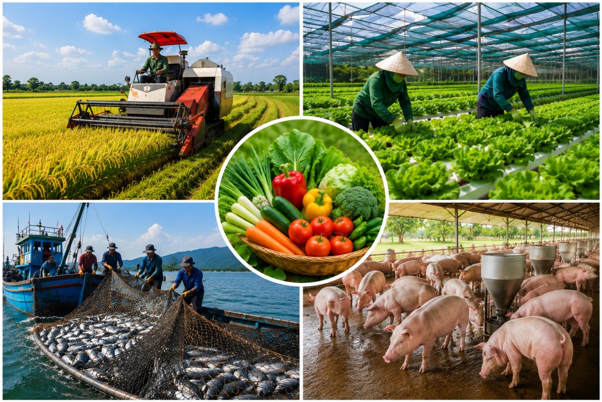 Hướng tới 100% cơ sở sản xuất nông lâm thủy sản tuân thủ an toàn thực phẩm