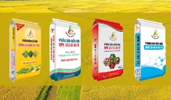Phân bón Miền Nam: Đổi mới công nghệ, kiến tạo chuỗi giá trị nông nghiệp bền vững