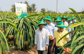 Phân Bón Cà Mau: Điểm tựa cho một mùa vụ vững tin hơn