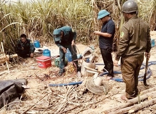 Đắk Lắk: Sớm kiểm tra, xử lý vi phạm các tổ chức, cá nhân vụ đãi vàng trái phép