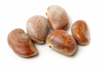 9 lợi ích tuyệt vời của hạt mít đối với sức khỏe ít người biết