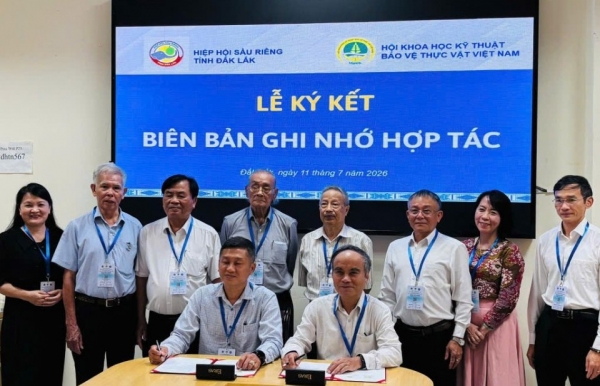 Đắk Lắk thúc đẩy nghiên cứu, chuyển giao công nghệ ngành sầu riêng phát triển bền vững