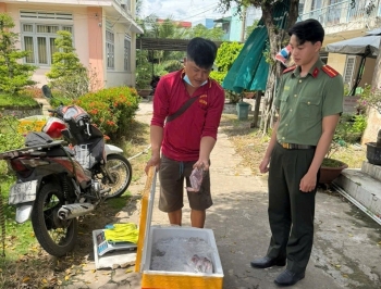 Đồng Tháp phát hiện đối tượng mua bán trái phép 56 cá thể chim hoang dã