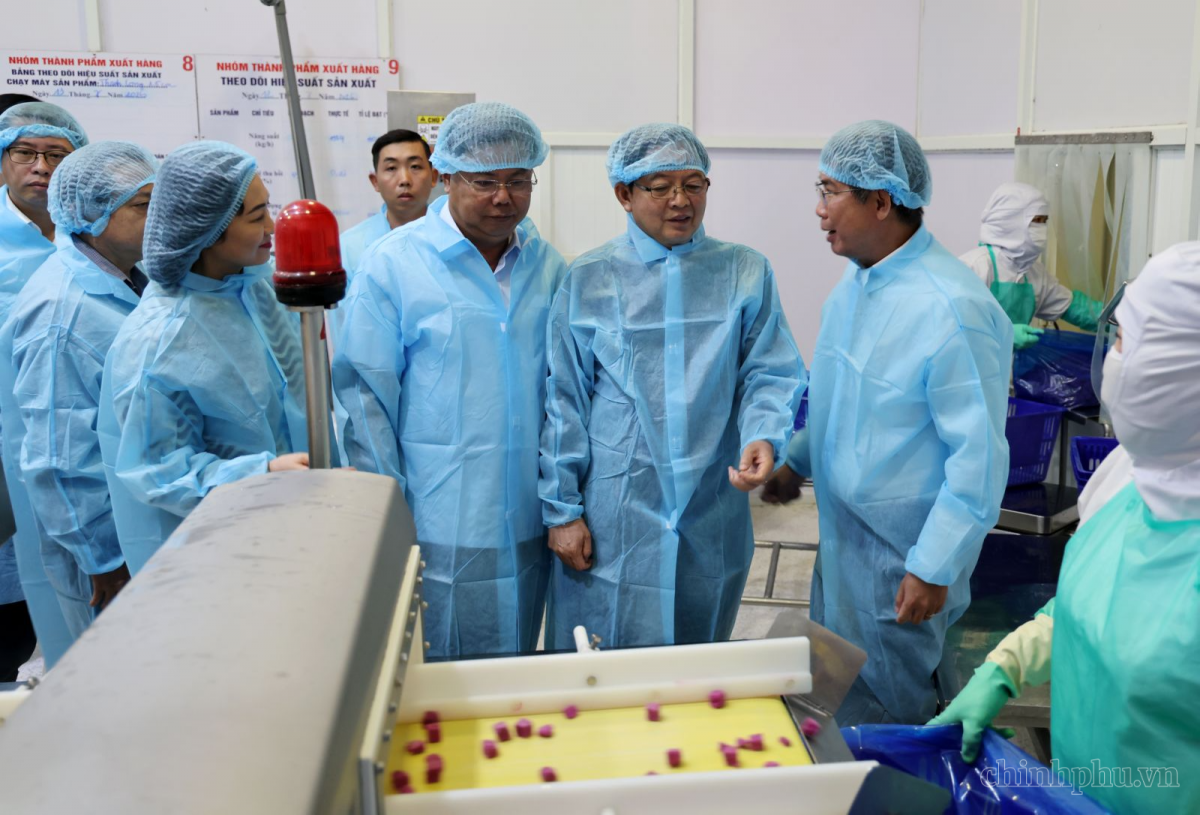 Phó Thủ tướng Hồ Quốc Dũng thăm quy trình sản xuất của Công ty Antesco - Ảnh: VGP/Gia Huy
