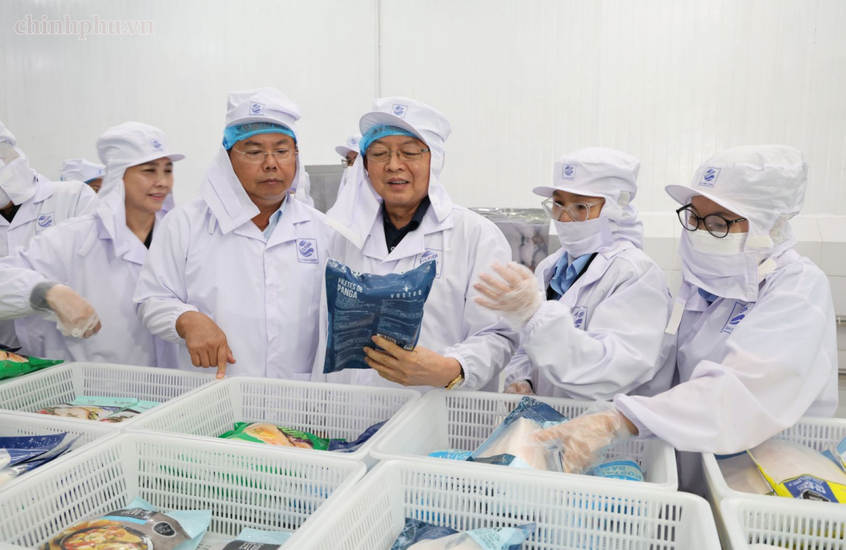 Phó Thủ tướng Hồ Quốc Dũng thăm quy trình sản xuất của Công ty Cổ phần Xuất nhập khẩu thuỷ sản Cửu Long An Giang. Ảnh: VGP