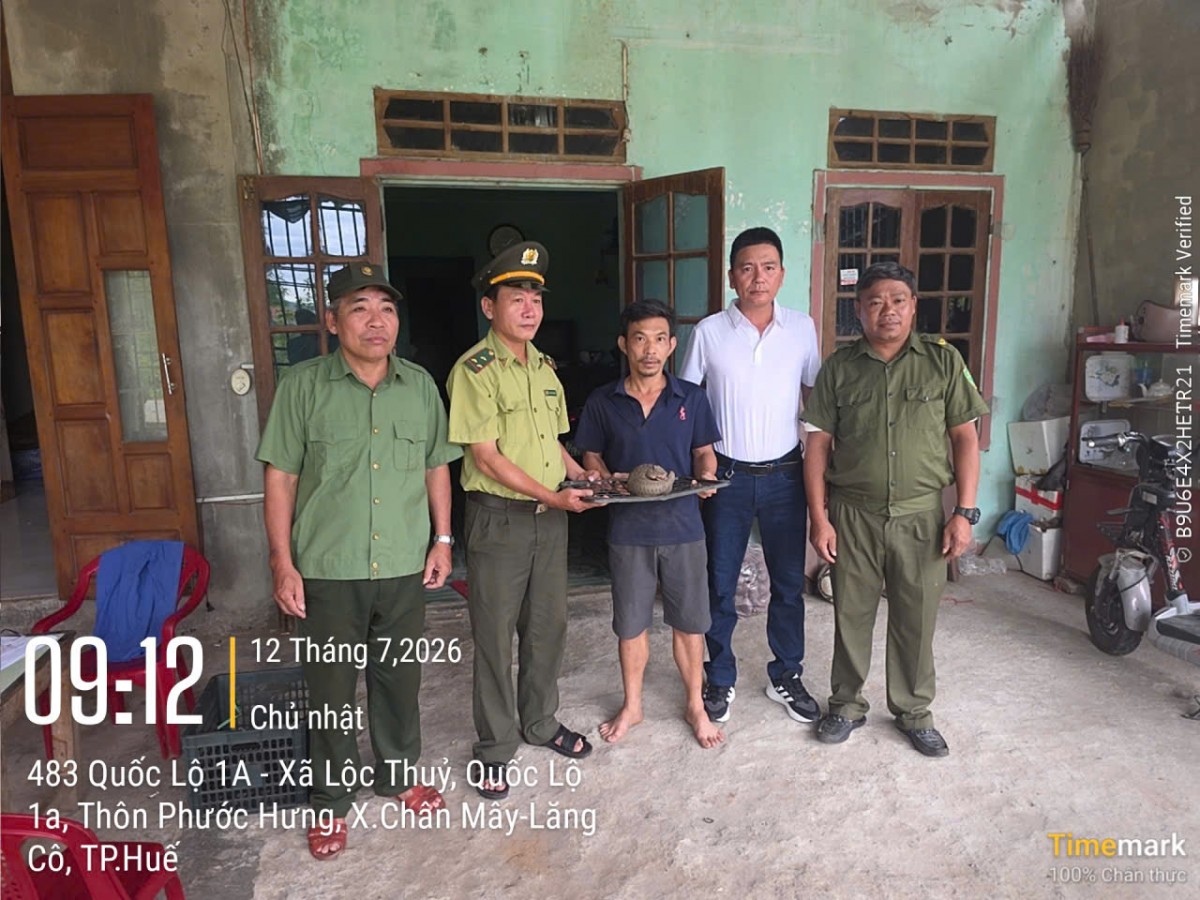 cá thể Tê tê Java
