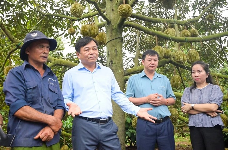Thứ trưởng Nguyễn Hoàng Hiệp khảo sát vùng trồng tại Đắk Lắk