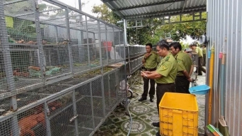 An Giang công khai đường dây nóng bảo vệ động vật hoang dã