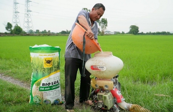 Cây lúa khỏe nhờ đất được "hồi sinh"