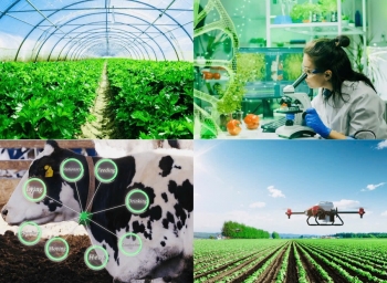 Rà soát, hoàn thiện các cơ chế, chính sách nhằm hỗ trợ phát triển nông nghiệp