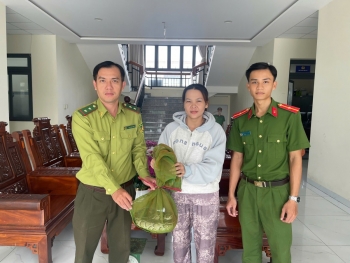 An Giang: Người dân chủ động giao nộp cá thể trăn hoang dã để thả về tự nhiên