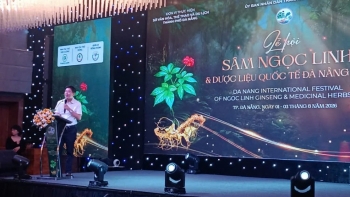 Đà Nẵng đăng cai Lễ hội Sâm Ngọc Linh và Dược liệu quốc tế 2026