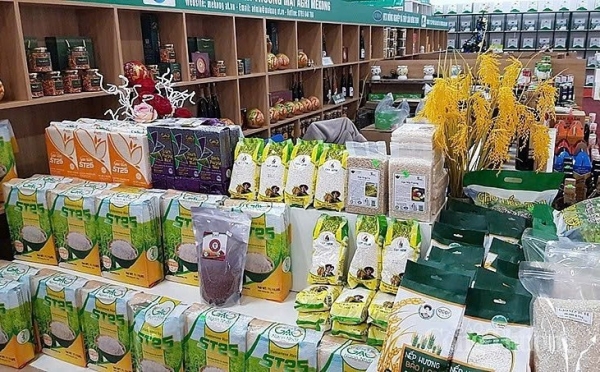 Đẩy mạnh thương mại điện tử, đưa sản phẩm địa phương tiếp cận người tiêu dùng qua Mega Livestream