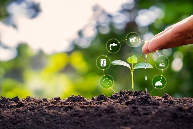 Diện tích áp dụng nông nghiệp tái sinh trên toàn cầu tăng 360% trong một thập kỷ