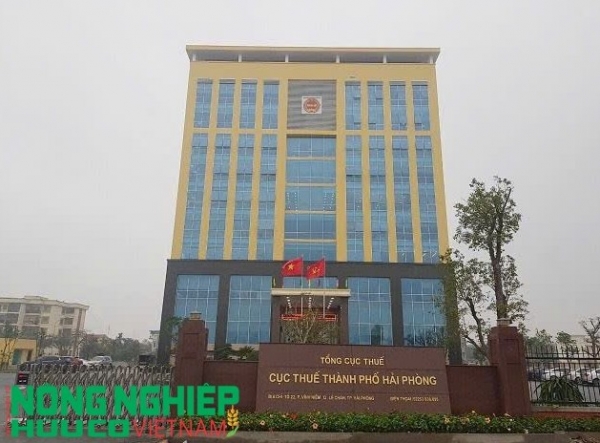 Hải Phòng: Hướng tới quản lý thuế 100% hộ, cá nhân kinh doanh sau khi xóa bỏ thuế khoán