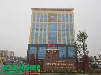 Hải Phòng: Hướng tới quản lý thuế 100% hộ, cá nhân kinh doanh sau khi xóa bỏ thuế khoán