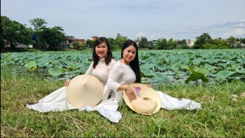 Nâng tầm giá trị sen Huế gắn với xây dựng thương hiệu