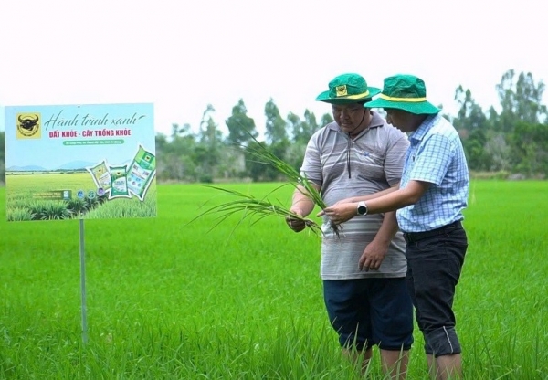 Làm giàu nhờ đổi mới tư duy trên vùng đất phèn