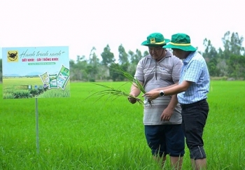 Làm giàu nhờ đổi mới tư duy trên vùng đất phèn