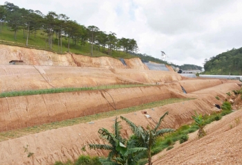 Xử lý nghiêm trách nhiệm cá nhân, tập thể trong việc buông lỏng quản lý đất lâm nghiệp