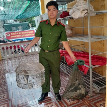 xu phat hanh vi nuoi nhot trai phep dong vat hoang da tai xa dong thuy anh
