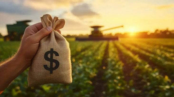 Hoa Kỳ thông qua gói hỗ trợ nông nghiệp 12 tỷ USD cho nông dân