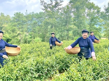 Kinh tế tập thể - Đòn bẩy phát triển nông thôn miền núi